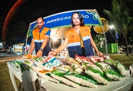 São João Massayó começa hoje e arrecada alimentos para combate à fome