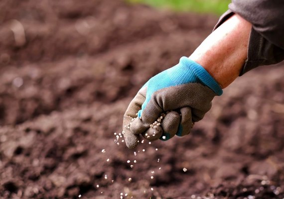 Plano nacional de fertilizantes será lançado nesta sexta (11)