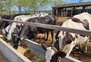 Setor rural alagoano movimentou R$ 883 milhões com Banco do Nordeste, até setembro