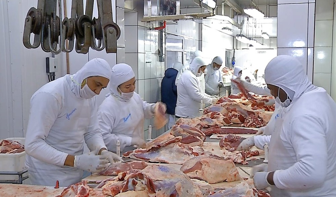 Mercado de carnes no Nordeste busca profissionalização