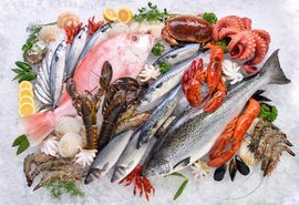 MPA e Mapa definem Nota Fiscal do Pescado como documento oficial de origem do pescado