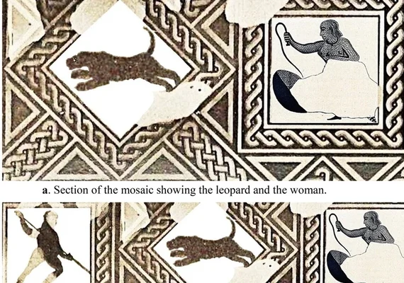 Estudo aponta que mulheres também lutavam contra feras na Roma Antiga