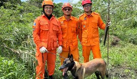 Bombeiros registram 70 ocorrências de desaparecimento em 2026