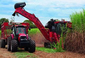 Equipamentos da usina Floralco estão sendo vendidos e podem ir para o exterior
