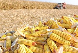 No último ano agronegócio brasileiro exportou US$ 96,8 bilhões