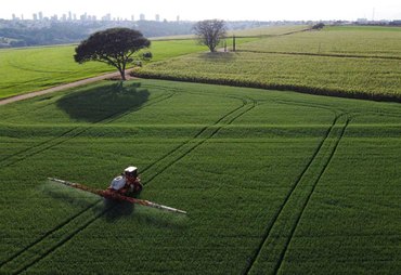 Receita com exportação do agronegócio do Brasil cresce 1,5% em agosto, diz ministério