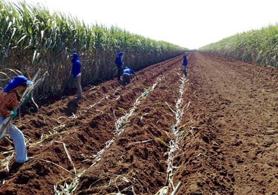 Pindorama inicia preparo do solo visando plantio de inverno