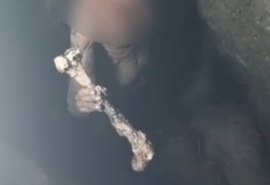 Corpo é encontrado enterrado em área rural de União dos Palmares