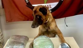 PM de Alagoas apreende drogas e arma de fogo em ações no interior do estado