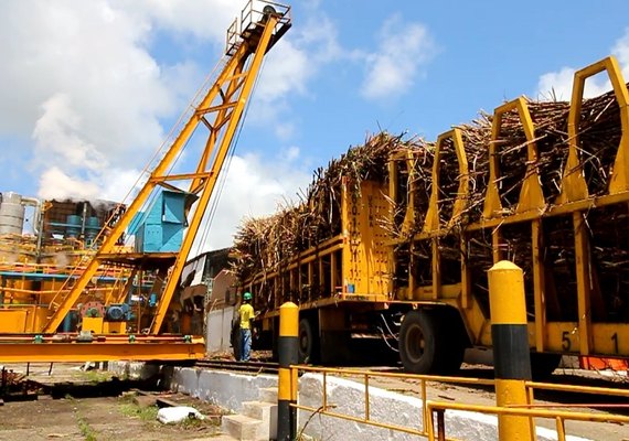 Usinas já processaram mais de 13,1 mi de toneladas de cana
