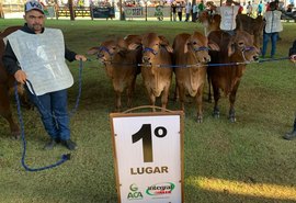 Genética do zebu se sobressai nos julgamentos da Expoagro Alagoas