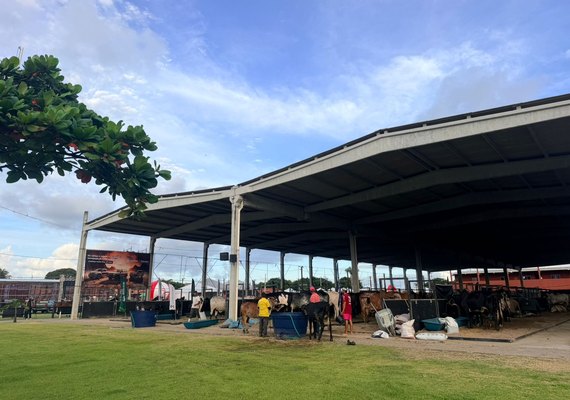 Expoalagoas Genética amplia ambientes de negócios para criadores e empresas