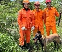 Bombeiros registram 70 ocorrências de desaparecimento em 2026
