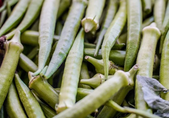 Garantia-Safra: confira a lista de beneficiários que recebem em abril