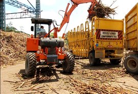 Safra 18/19 acumula produção de 15 milhões de toneladas de cana beneficiadas