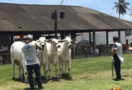 ACA confirma realização da 70ª Expoagro