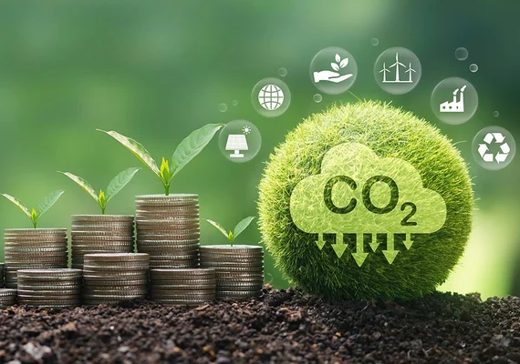 Mercado de carbono: como as cooperativas fazem parte dessa estratégia climática?