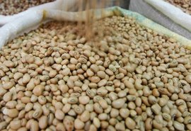 Oficinas são realizadas pela Emater para oferecer orientações de plantio aos agricultores familiares