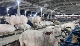 Expoagro 2025: 75 anos de tradição, inovação e protagonismo no Nordeste