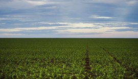 Marco regulatório para agrotóxicos é publicado no DOU