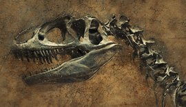 Nova espécie de espinossauro é descoberta no Saara