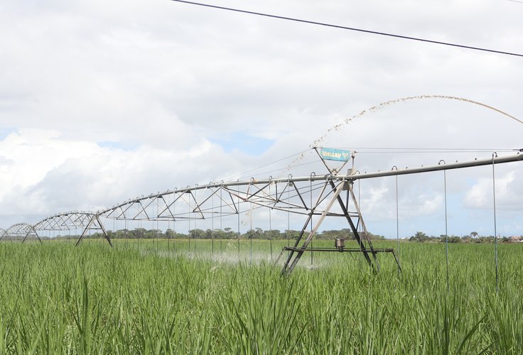 Comissão aprova ressarcimento para produtor rural por perdas decorrentes da falta de luz