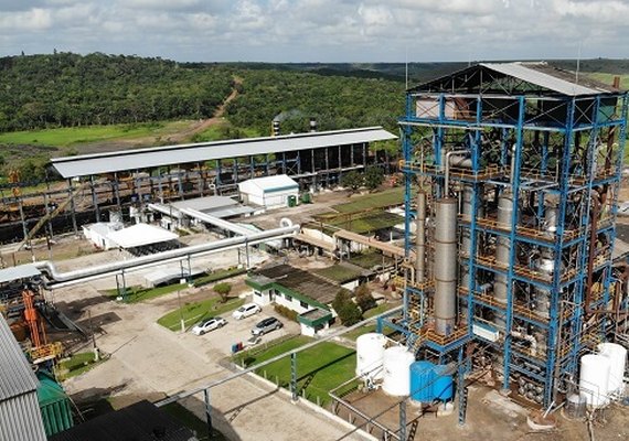 Usina Pindorama antecipa início da safra de cana 21/22 para agosto