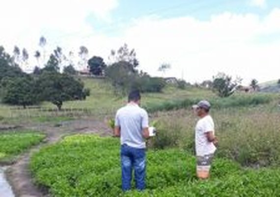 Incentivos à agricultura familiar gera renda e melhora qualidade de vida dos agricultores