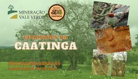 Instituto SOS Caatinga abre inscrições para projeto Guardiões da Caatinga