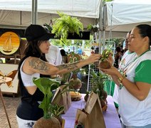 Feira Sabor do Campo promove sustentabilidade e agricultura familiar neste domingo em Maceió