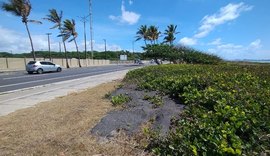 Prefeitura de Maceió descarta resto de asfalto em área de restinga na Orla do Sobral