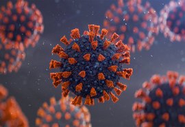 Alagoas registra 12 mortes  e e mais de 2600 casos de Covid-19