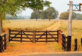 Banco do Brasil lança plataforma para venda de fazendas