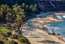 Guias de turismo podem se inscrever em curso gratuito sobre atrativos naturais