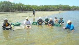 Sancionada política de apoio às mulheres marisqueiras