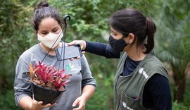 Senar abre seleção para cursos técnicos em agronegócio, fruticultura e zootecnia