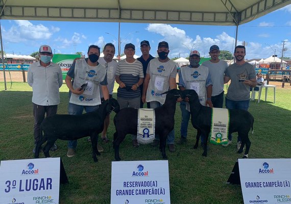 Expoagro Alagoas premia os grandes campeões da raça santa inês