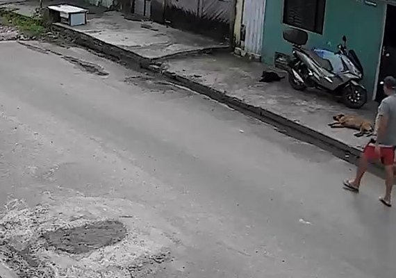 Polícia investiga suspeita de envenenamento de cães no Tabuleiro em Maceió