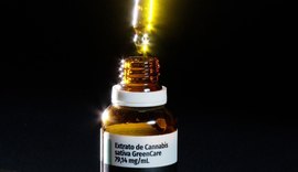 Anvisa amplia uso medicinal da cannabis no Brasil