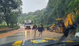 BR-104 em Alagoas tem pontos parcialmente interditados após queda de árvores