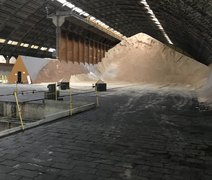 Primeiras toneladas de açúcar da safra 23/24 são produzidas pelas usinas de AL