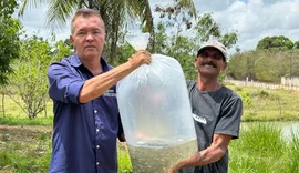 Agricultores miguelenses recebem milhares de alevinos