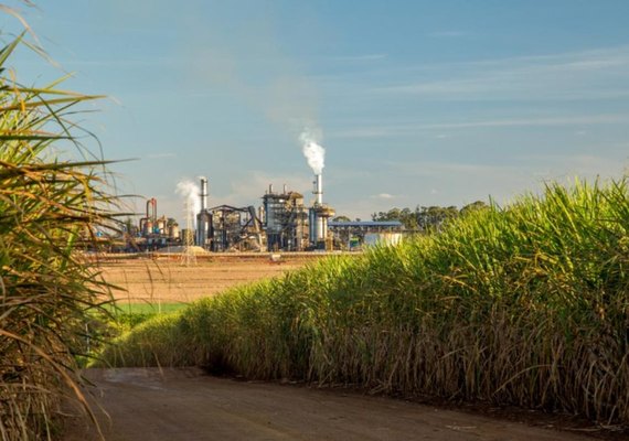 Setor Sucroenergético pede cautela na Reforma Tributária