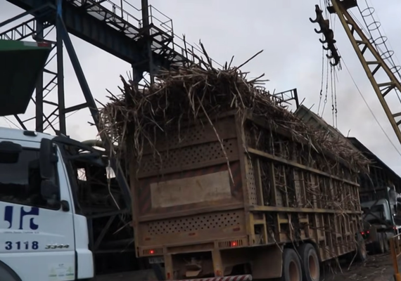Clima seco antecipa fim da safra e reduz moagem na Usina Santa Clotilde, em Rio Largo
