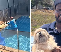 Vídeo: cão cego é resgatado por trabalhador após se afogar em piscina em Goiás