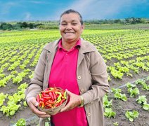 Emater celebra 12 anos de assistência técnica aos agricultores familiares de Alagoas