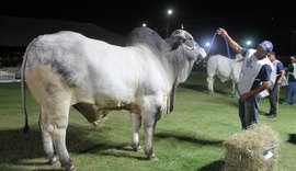 Expoalagoas Genética é vitrine para produtos da agropecuária alagoana