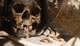 Nova análise confirma que 'il Principe' foi vítima de ataque de urso