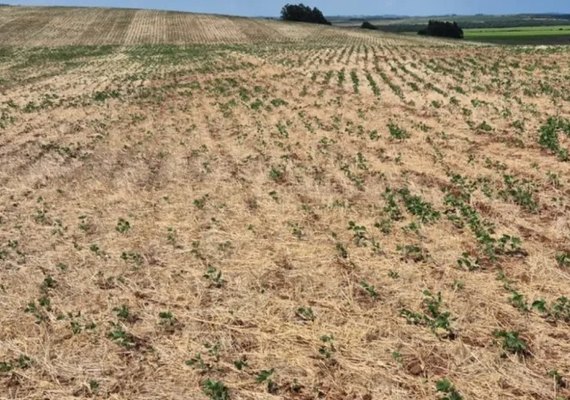 Governo Federal reconhece situação de emergência em três municípios de AL