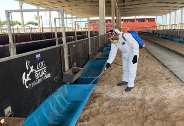 Expoagro: Parque da Pecuária começa a receber animais nesta segunda-feira (21)